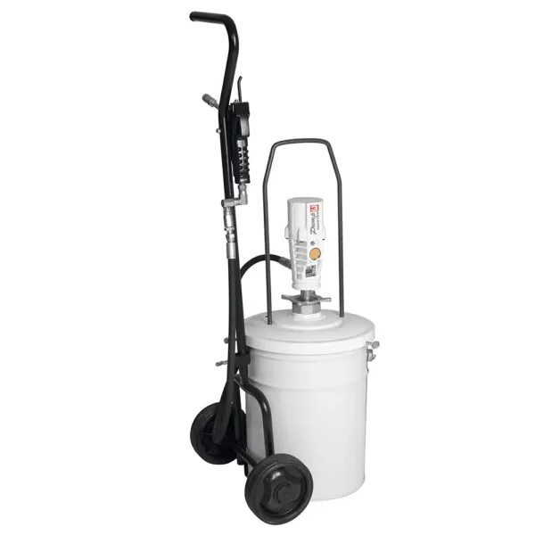 EQUIPO NEUMATICO ENGRASE 20 Kg