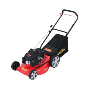 Cortacesped 5hp con recogedor