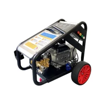 WhatsApp-Image-2025-01-29-at-16.19.44_1000X1000