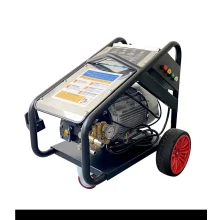 WhatsApp-Image-2025-01-29-at-16.21.03-1_1000X1000