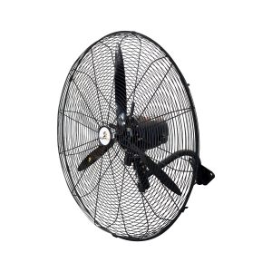 WhatsApp Image 2025-09-26 at 10.09.02